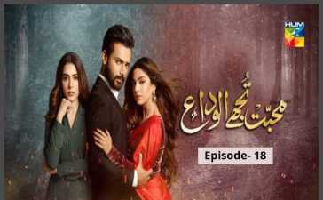 Mohabbat Tujhe Alvida Episode-18 Review
