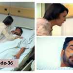 Muqaddar Episode-36 Review: Sardar Saif's death glorifies him as a hero