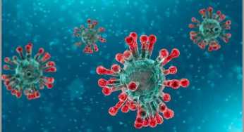 ‘India is Origin of COVID-19 Virus’, Claim Chinese Researchers