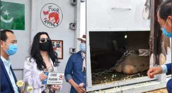 Kavaan (Asian Elephant) Safely Reaches Cambodia Accompanied by Cher