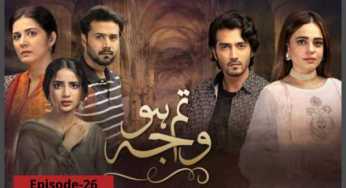 Tum Ho Wajah Episode-26 Review: Wajid and Chachu’s plan miserably fails