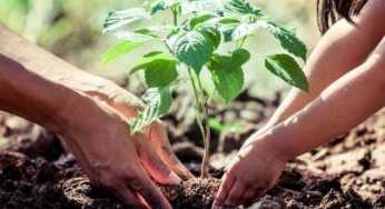 PPAF and Taraqee Foundation to plant 80,000 trees in Balochistan