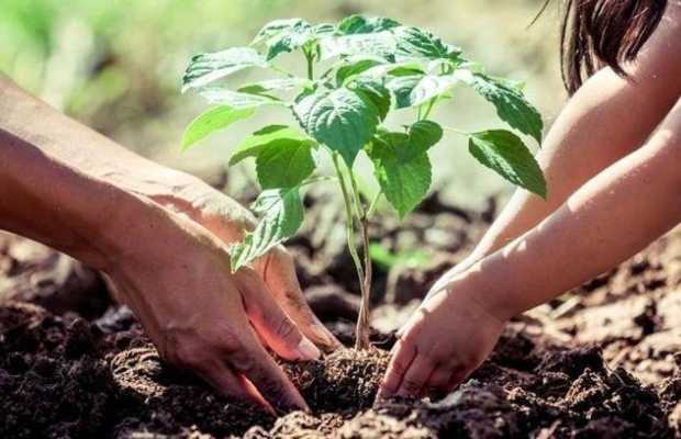 PPAF and Taraqee Foundation to plant 80,000 trees in Balochistan