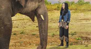 Cher drops trailer of documentary on Kaavan, “Cher & The Loneliest Elephant”