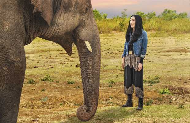 Cher drops trailer of documentary on Kaavan, “Cher & The Loneliest Elephant”