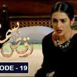 Raqs e Bismil Episode 19-Review: Why Zohra is still asking Moosa to leave her?