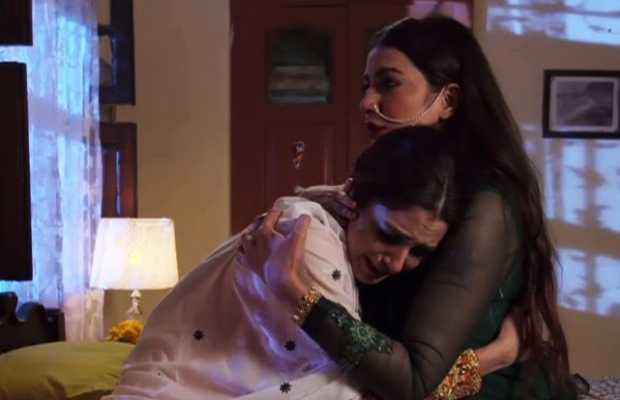 Pehli Si Muhabbat Ep-24 Review: Rakshi decides to step back for her father
