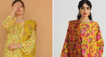 Aiman Minal Closet accused of plagiarizing Zara Shahjahan’s design