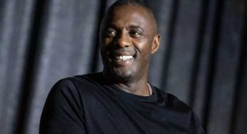 Idris Elba to Voice Knuckles the Echidna in Sonic the Hedgehog 2