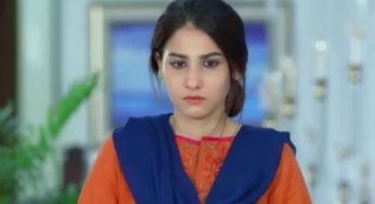 Dour Episode 22 & 23 Review: Asma is in greater trouble!