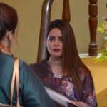 Ishq Hai Episode 31-34 Overview: Shahzaib is marrying Nimra!