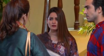 Ishq Hai Episode 31-34 Overview: Shahzaib is marrying Nimra!