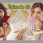 Ishq e Laa Episode 1 Review: Beginning of an intense love tale