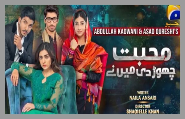 Mohabbat Chor Di Maine Ep 23-29 overview