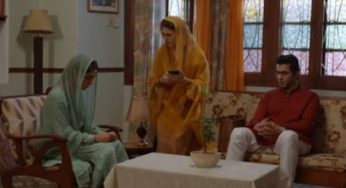 Pehli Si Muhabbat Second Last Episode Review: Bushra allows Aslam to marry Rakshi