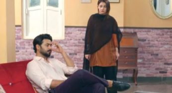 Dour Episodes 38 and 39 Review: Asma leaves Romaan for good