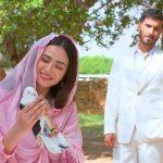Aye Musht-e-Khaak Ep 1 & 2 Review: Feroze Khan & Sana Javed starrer is off to a fantastic start
