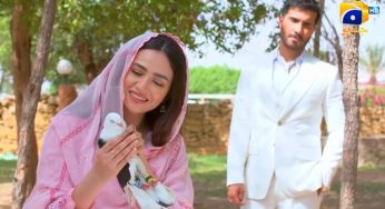 Aye Musht-e-Khaak Ep 1 & 2 Review: Feroze Khan & Sana Javed starrer is off to a fantastic start