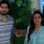 Baddua Episode-15 Review: Abeer's reality is revealed in front of Junaid