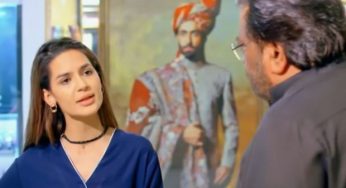 Dil-e-Momin Episode-18 &19 Review: Maya is creating troubles for Momin
