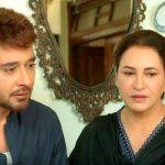 Dil e Momin Ep-28 & 29 Review: Maya validates Momin's character in front of his mother