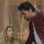 Mere Humsafar Episode-9 Review: Hamza is proving to be Hala's knight in the shining armor
