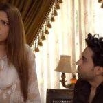 Dobara Episode-20 Review: Mehru is taking stand for Mahir against her family