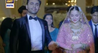 Mere Humsafar Episode-14 Review: Hamza is adding colors to Hala’s life