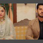 Ishq e Laa Ep-26 Review: Azka and Azlaan's marriage is not more than a paper contract!