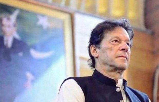 Celebrities step forward in support of PM Imran Khan