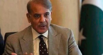 PM Shehbaz Sharif announces not to increase petroleum prices