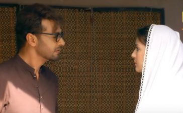 Dil e Momin Ep-48 & 49 (last) Review