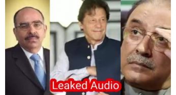 Malik Riaz’s alleged audio call to Zardari conveying Imran Khan’s message leaked