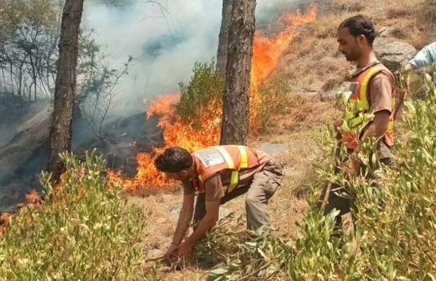 Forest fires continue in KP