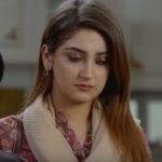 Pehchaan Episode 1-4 Overview: An emotionally drained wife gone missing