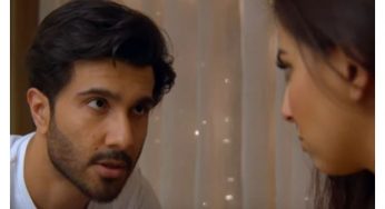 Habs Episode-11 Review: Despite all the differences we see a ray of hope in Basit and Ayesha’s relationship