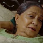 Mere Humsafar Episode-29 Review: Hala loses her biggest support, her Dadi