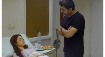 Mere Humsafar Episode-33 Review: Hala decides to give herself a break