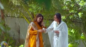 Pehchaan Episode-15 and 16 Review: Sharmeen starts living with her Phupho Safina