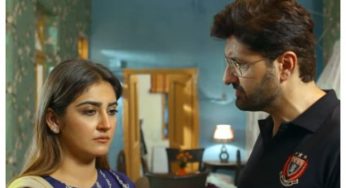 Pehchaan Last 2 Episodes Review: Finally Sharmeen and Adnan reunites