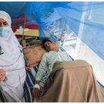 Dengue in Karachi claims 7 lives