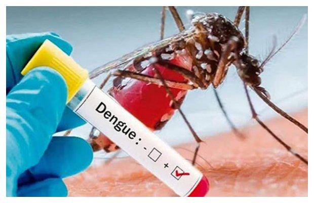 death toll from dengue