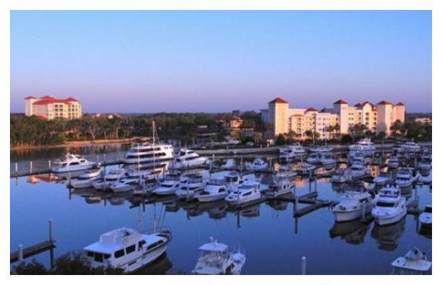 Why is Florida’s Palm Coast the Best Place to Live?