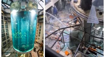 Giant 16-meter aquarium in Berlin’s Dom Aquaree hotel breaks