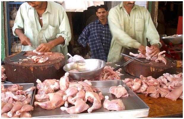 Feed crisis: Chicken meat likely to become more expensive than beef