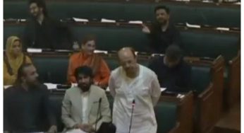 Watch: Firdous Shamim Naqvi takes off his cap and sherwani during Sindh Assembly session while mentioning public problems