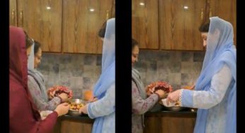 Maryam Nawaz boasts fruit chaat making skills and Twitter reacts