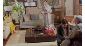 Meri Shehzadi Episode-26 Review: Is Shahana hiring a hitman for Dania?