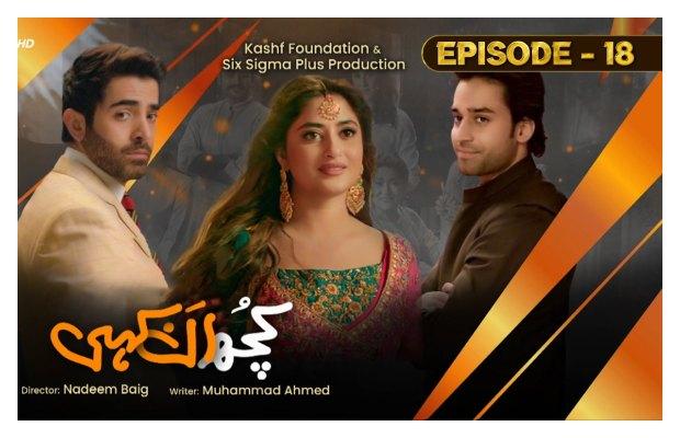Kuch Ankahi Episode-18 Review: Aliya, Salman and Asfar seems an intense trio