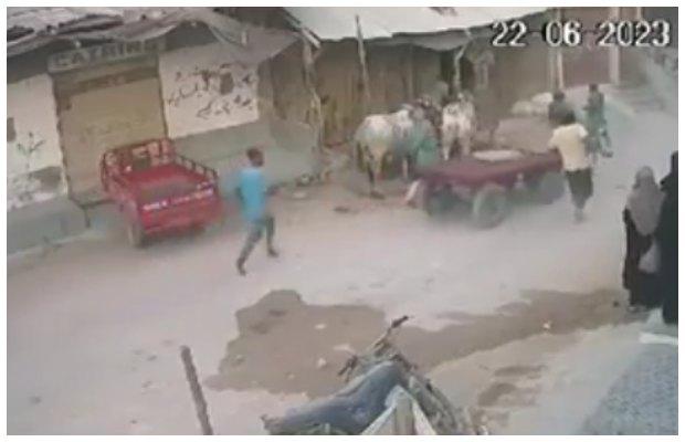 12-year-old boy killed as sacrificial animal goes out of control in Karachi